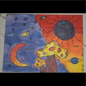 Mushroom sunset / space muchroom canvas